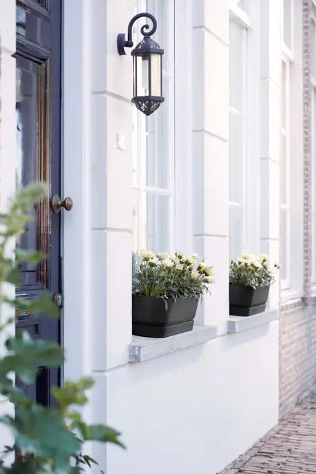 Greenville Planter Long 50cm – Living Black -  Plant Circle.