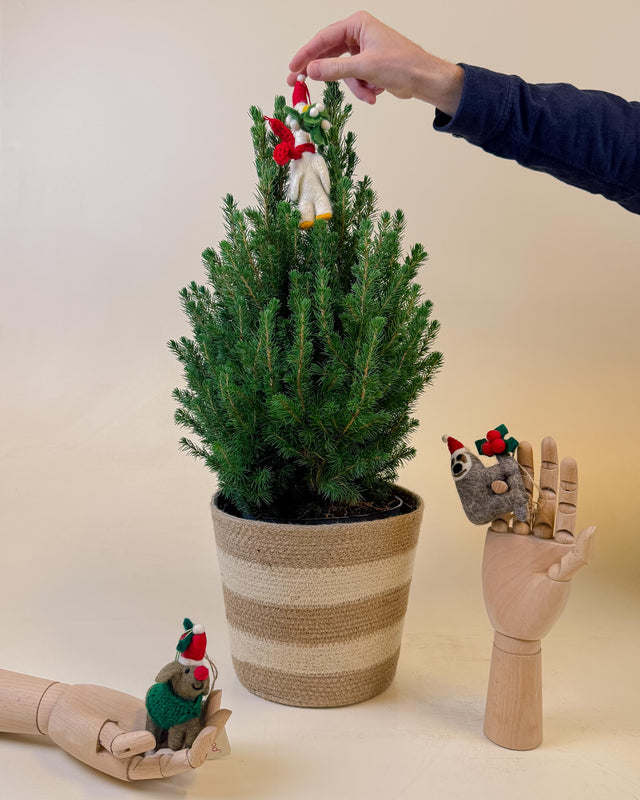 A hand places a festive felt ornament on top of a small Picea glauca ‘December’ tree in a striped basket, with other felt animal decorations displayed around the base.