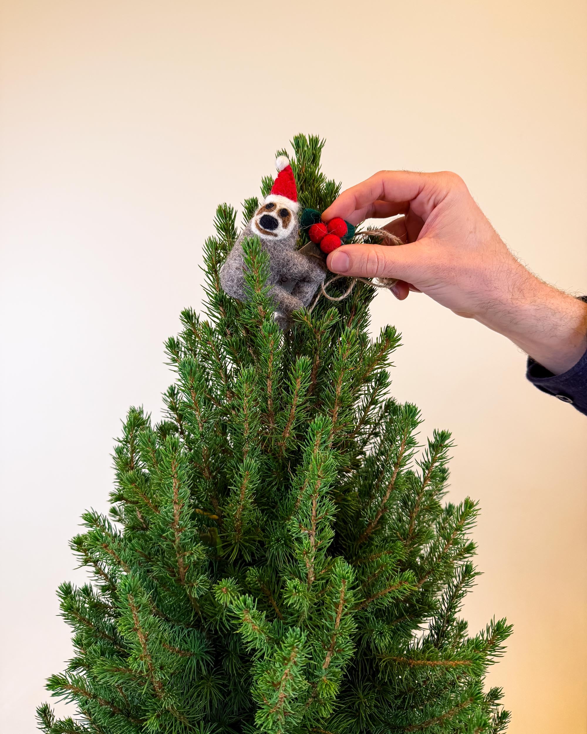 A detailed shot of the spruce tree tip being decorated with a felt sloth ornament wearing a Santa hat.