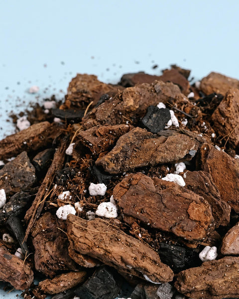 hoya potting mix recipe DIY Peat-Free Hoya Substrate Kit – Cocopeat Base
