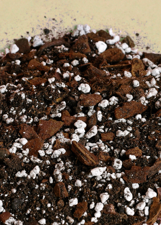 Close-up of a mix of brown and white materials, possibly soil and perlite, on a beige background.