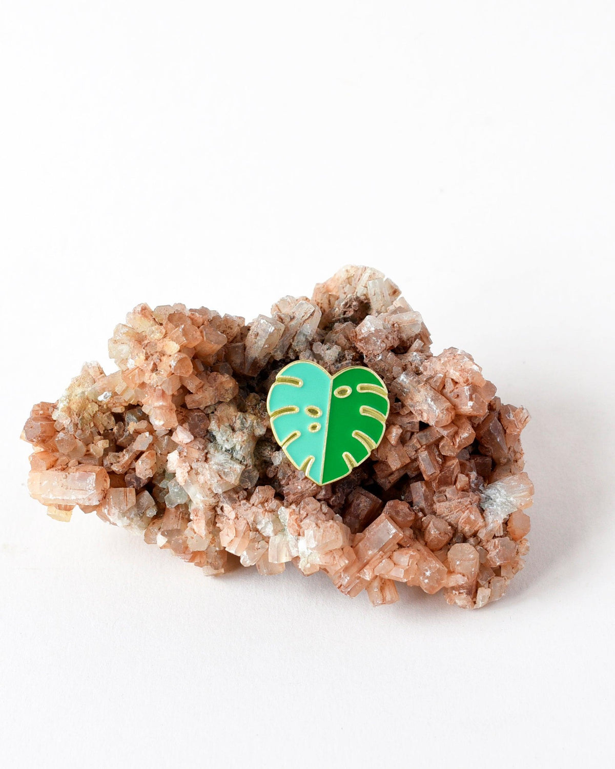 Monstera Variegata Mint Pin – Made in the EU | Plant Circle Exclusive -  Plant Circle.