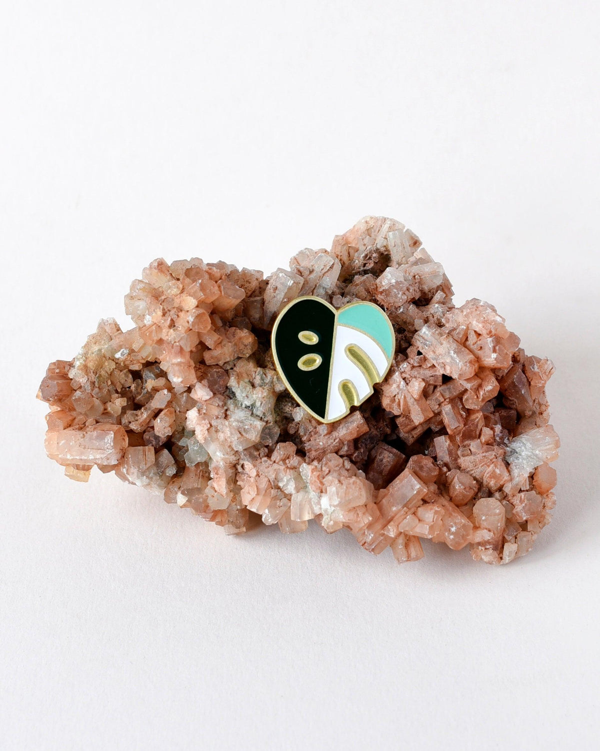 Monstera Variegata Albo Pin – Made in the EU | Plant Circle Exclusive -  Plant Circle.