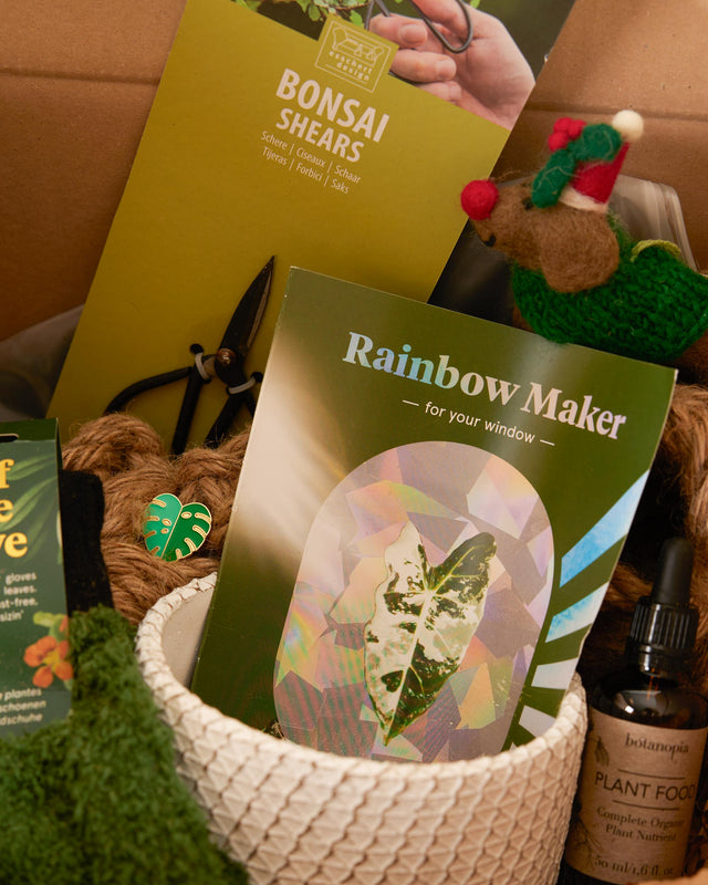 Ultimate plant lovers gift box with designer plant shears, botanopia rainbow maker window sticker, handmade felt toy, organic plant food, leaf care gloves 