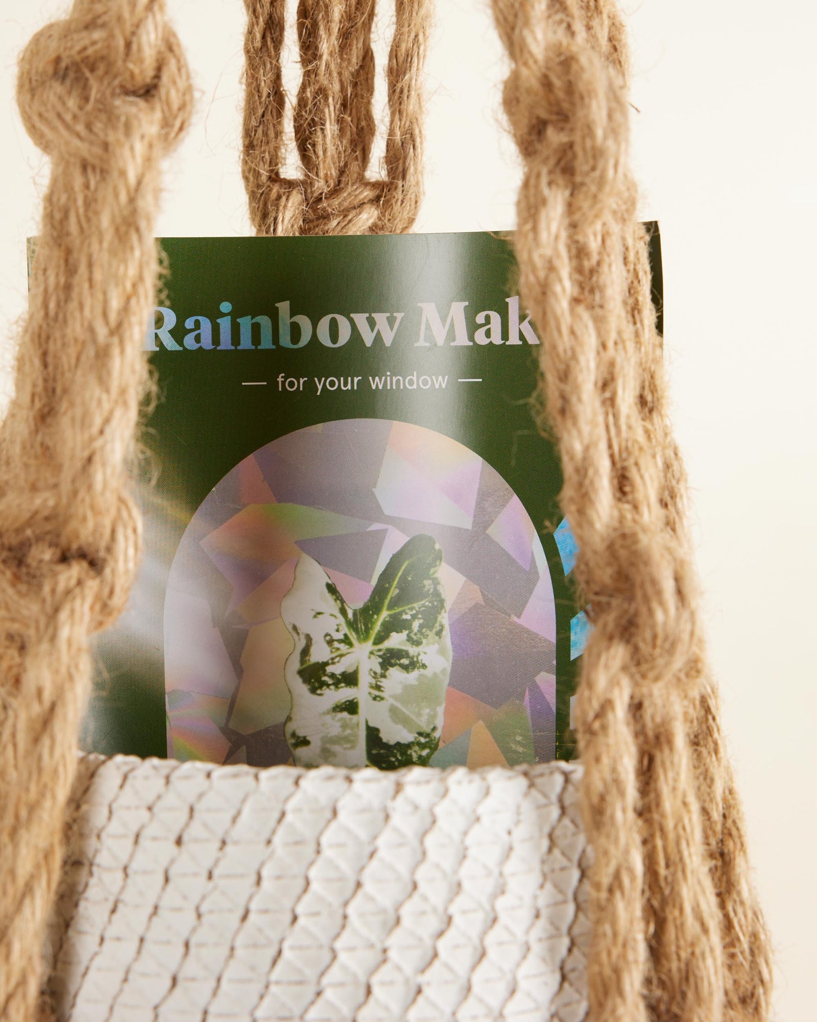 Window film packaging with a plant design held by twine