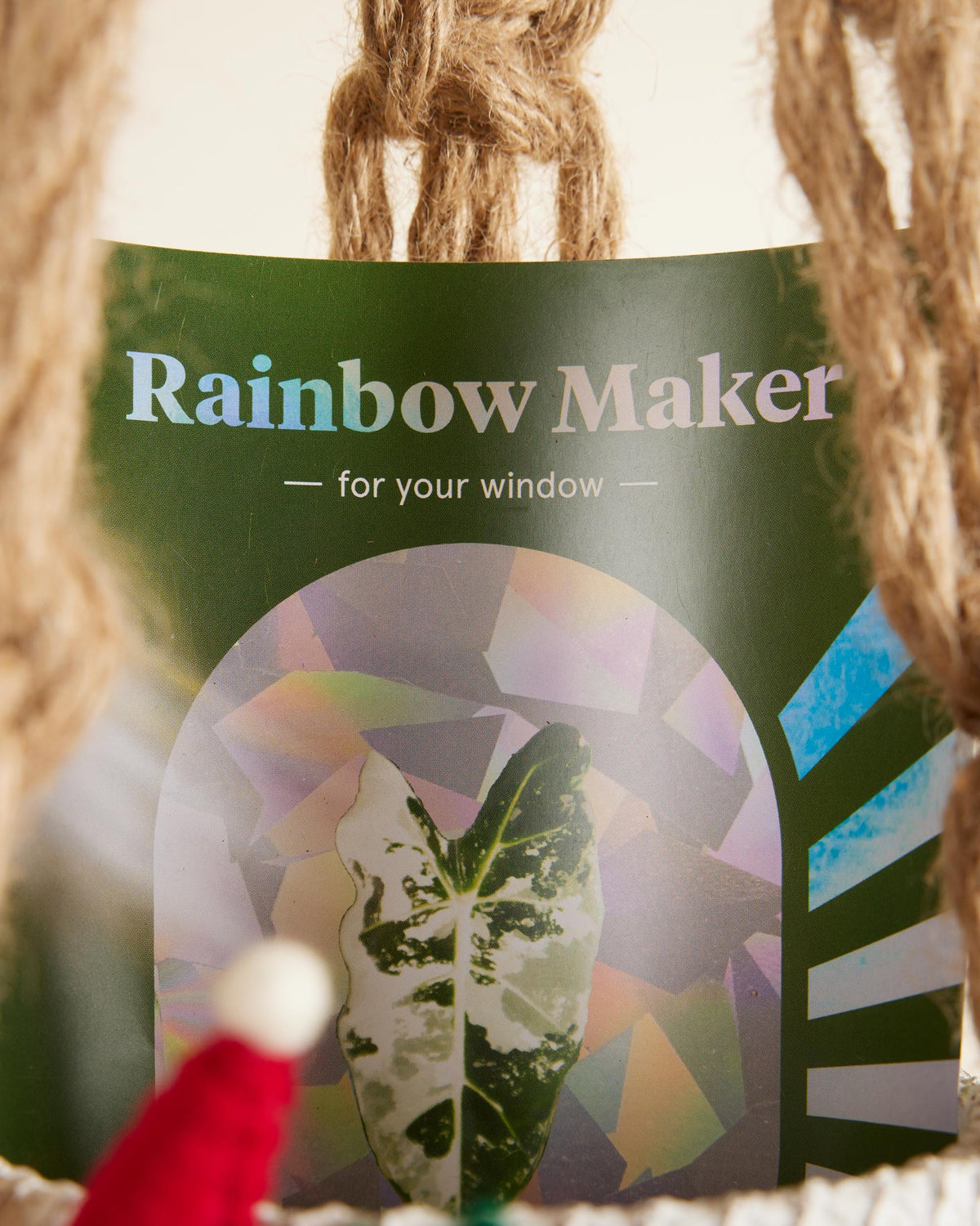 Geschenkbox für Pflanzenliebhaber + 10 % Bonus auf Geschenkgutscheine, die zusammen mit der Geschenkbox gekauft werden