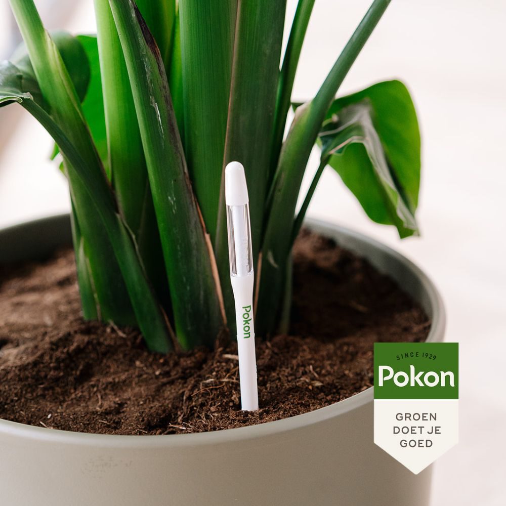 Plant Water Meter