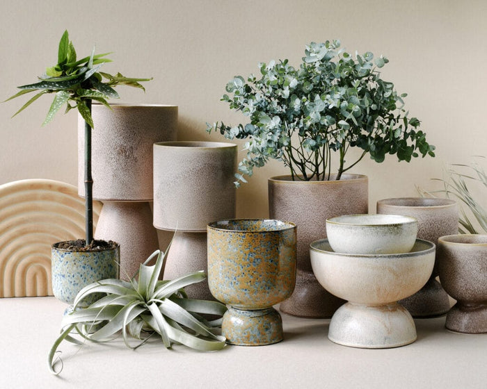 Plant Styling