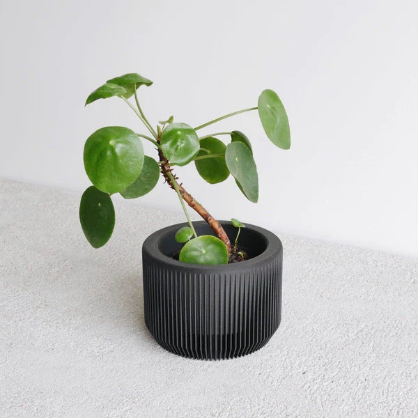 Minimum Design ‘Praha’ Planter | 3D Printed in France black 2