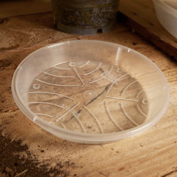 Transparent Plant Saucer (Recycled Plastic)