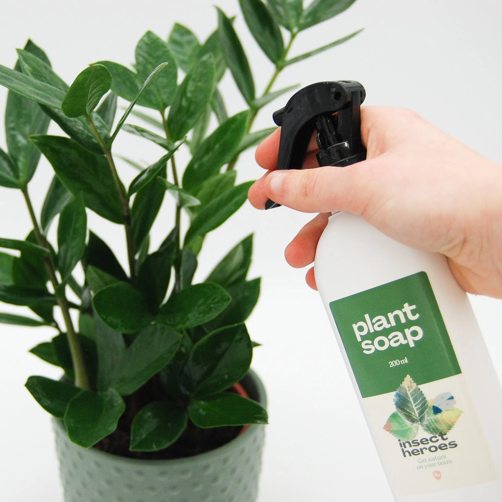 oil for indoor plants Plant Soap – Natural Olive Oil Plant Cleaner Spray (200 ml)