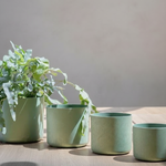 Four green recycled polymer pots with plants on a wooden surface against a neutral background